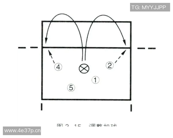 成都排球队包夹战术解析及其在排球比赛中的应用与影响