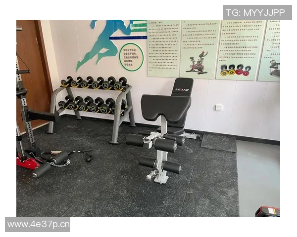 美国专业健身器材品牌介绍与核心产品推荐